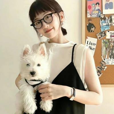 呆仔缉私
